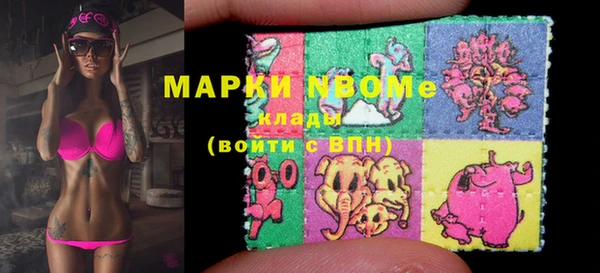 крисы Алексин