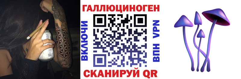 Псилоцибиновые грибы Psilocybine cubensis закладки Омск
